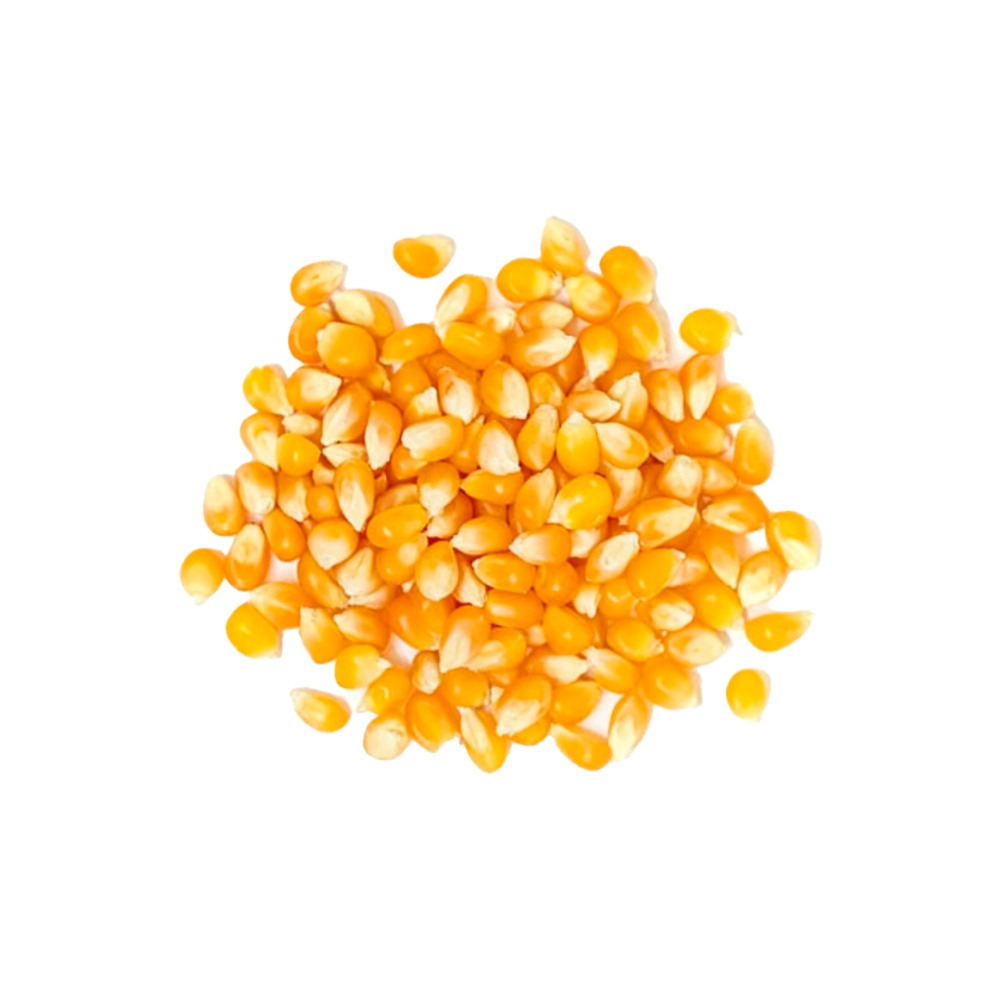 maiz-pisingallo-x-20-kg-agr040